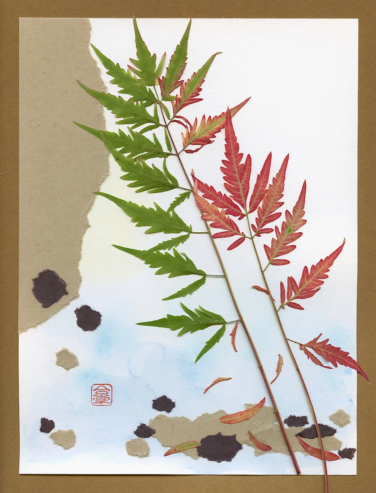 fall color trees with rocks.jpg