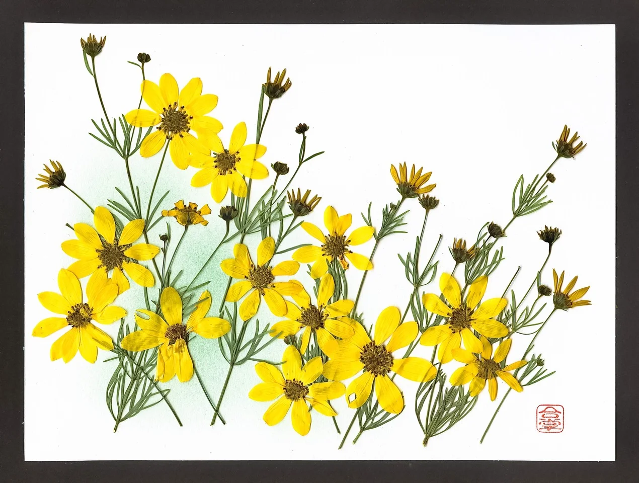 summer yellow flowers with green bgd 2018-5-1.jpeg