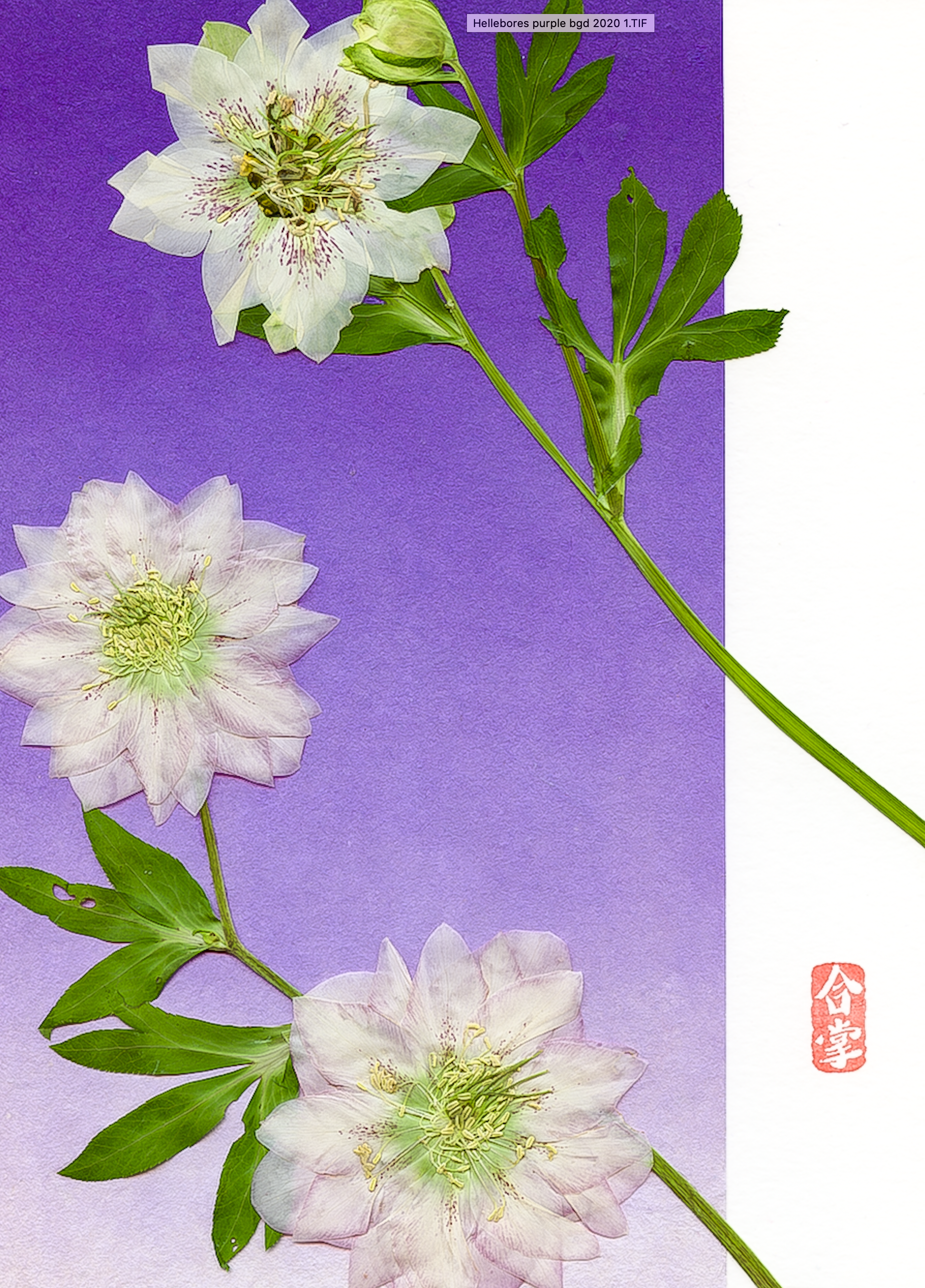 Screen Shot 2020-05-20 at 7.24.23 PM.png