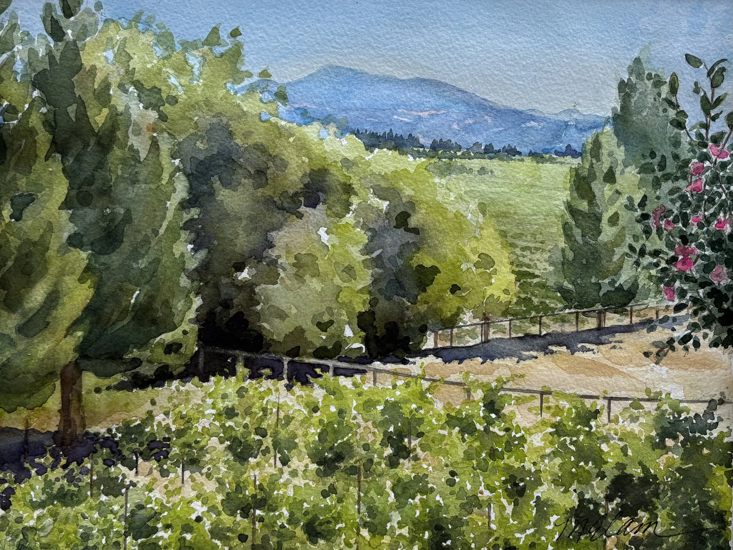 Moore Vineyard.jpg