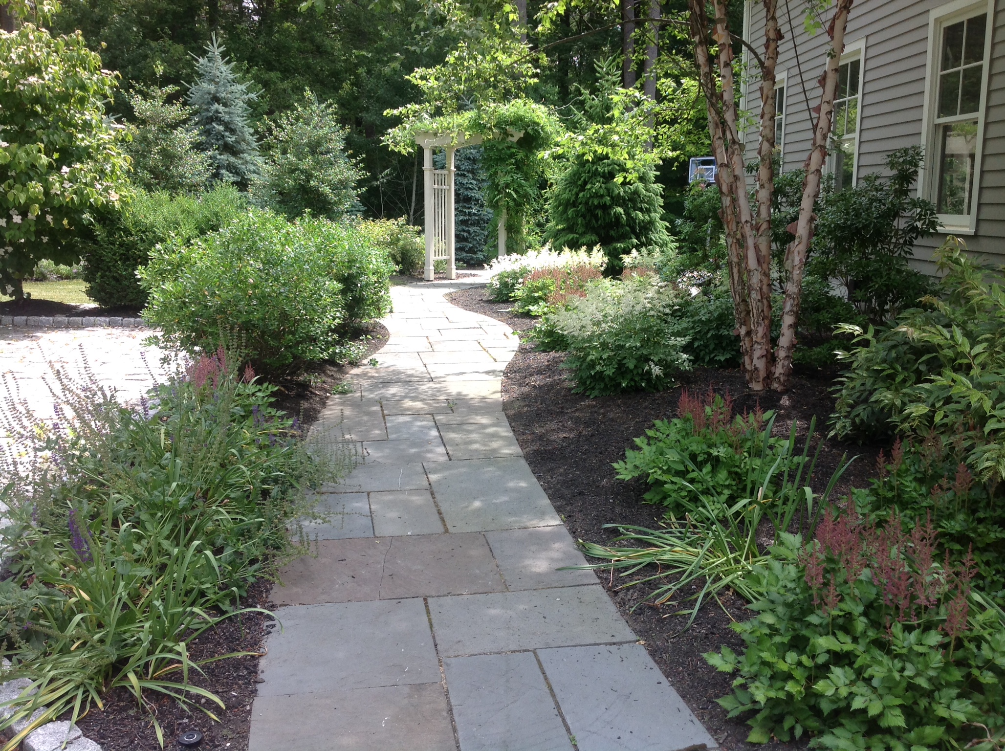 photo 4.JPG