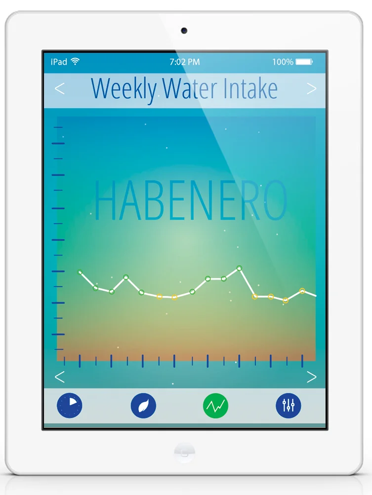 Ipad GRAPH Screen.jpg