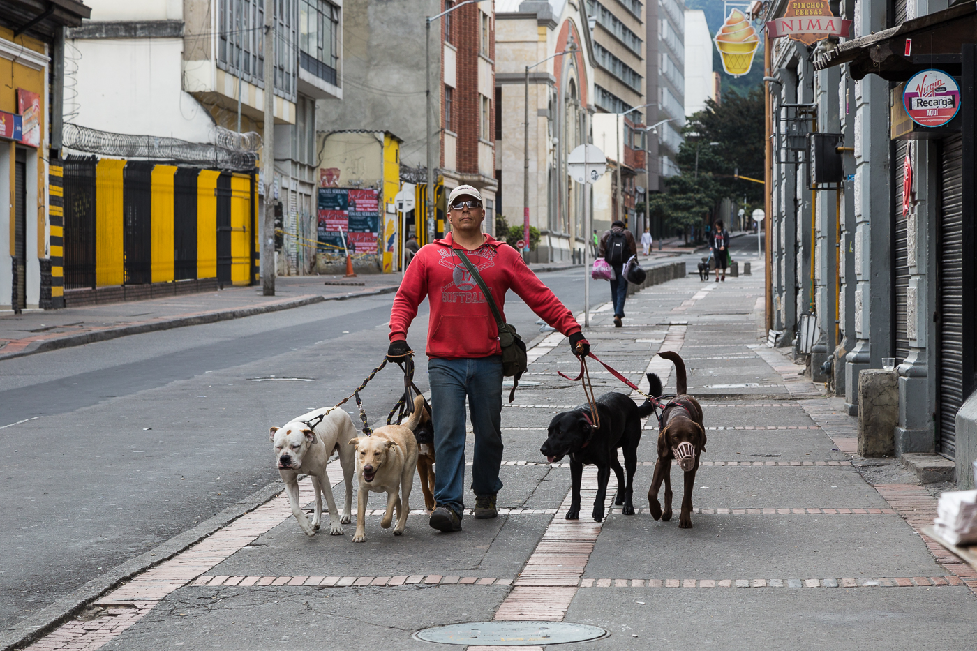 Dog Walker in Bogota
