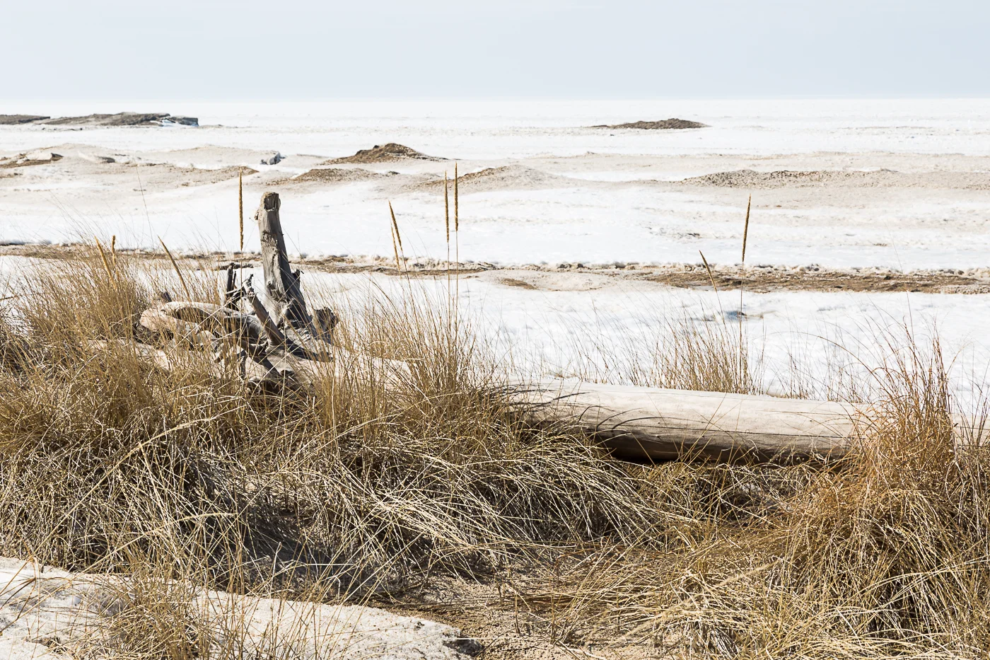 Ipperwash Beach from the Top of the Dunes