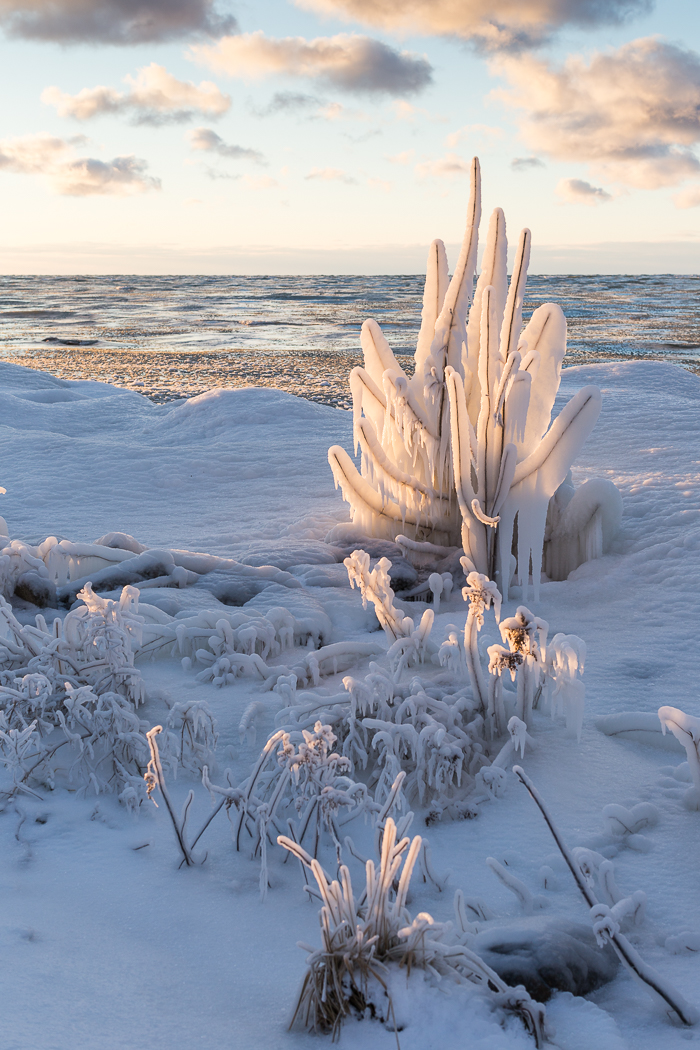 Frozen in Ice, Bathed in Light