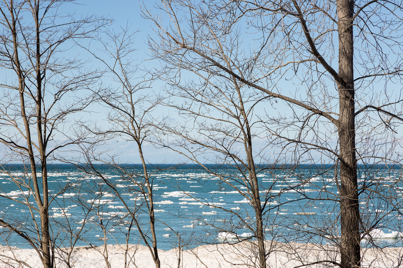 Lake Huron through the Trees