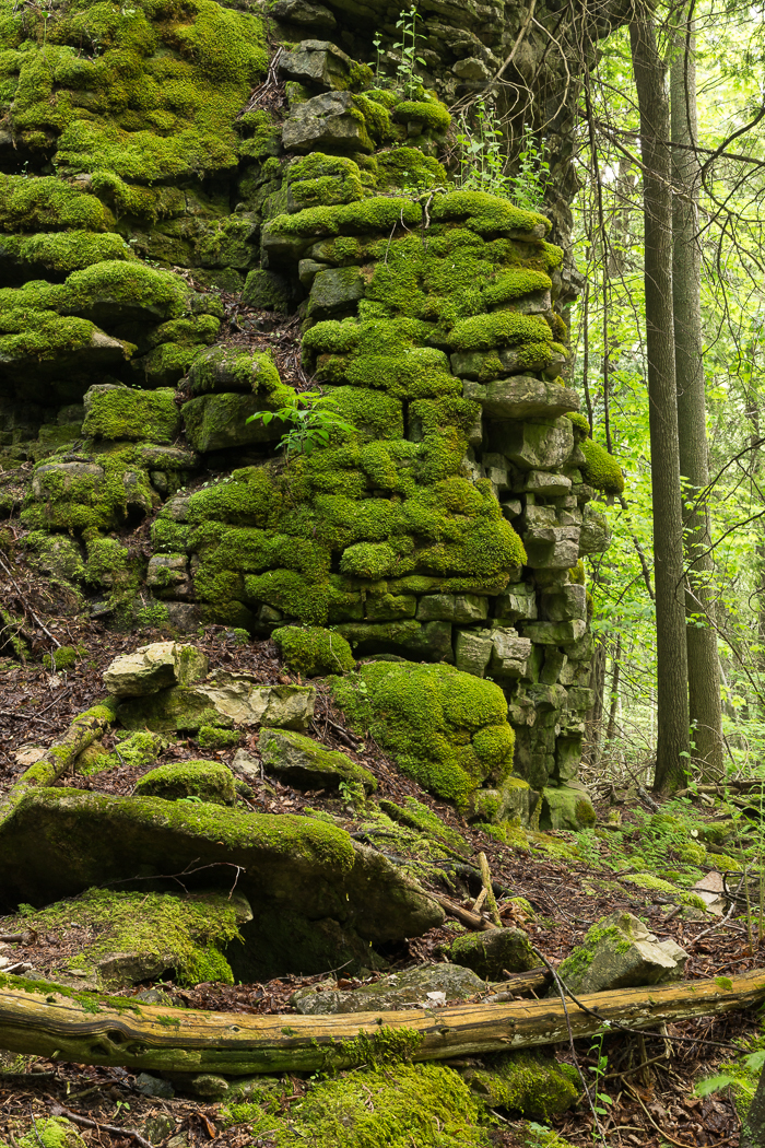 Below the Bruce Trail