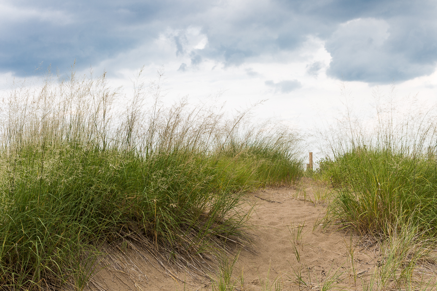 The Dunes of Ipperwash Beach