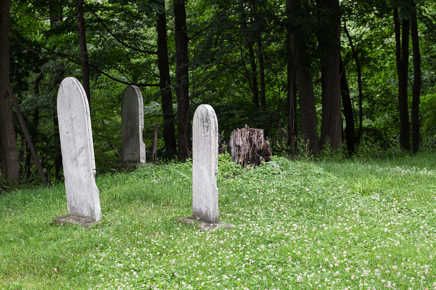 Old tombstones at the edge of the ravine