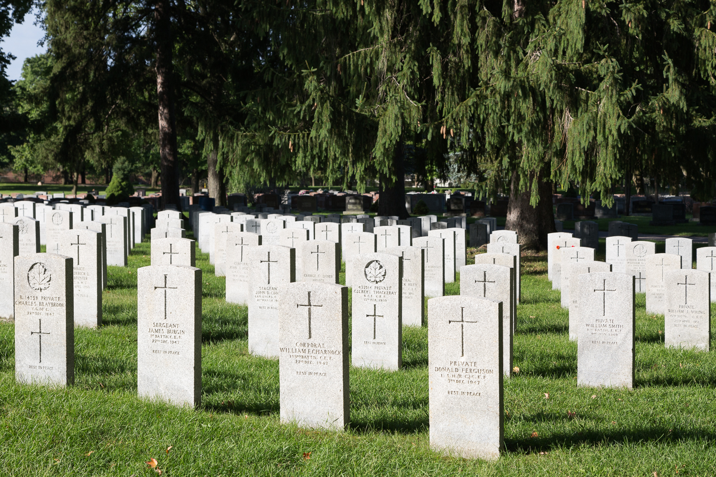 Veterans' Section