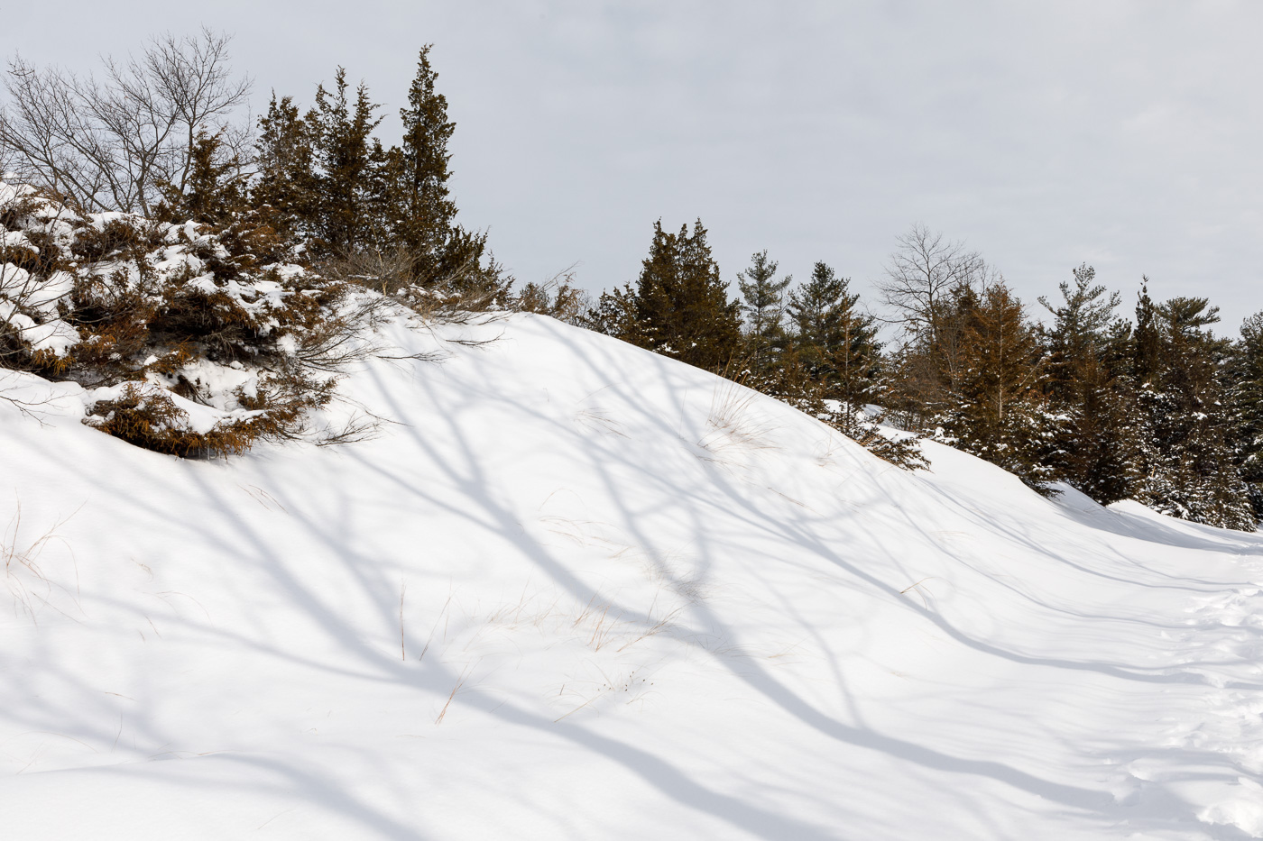 Shadows on the Snow