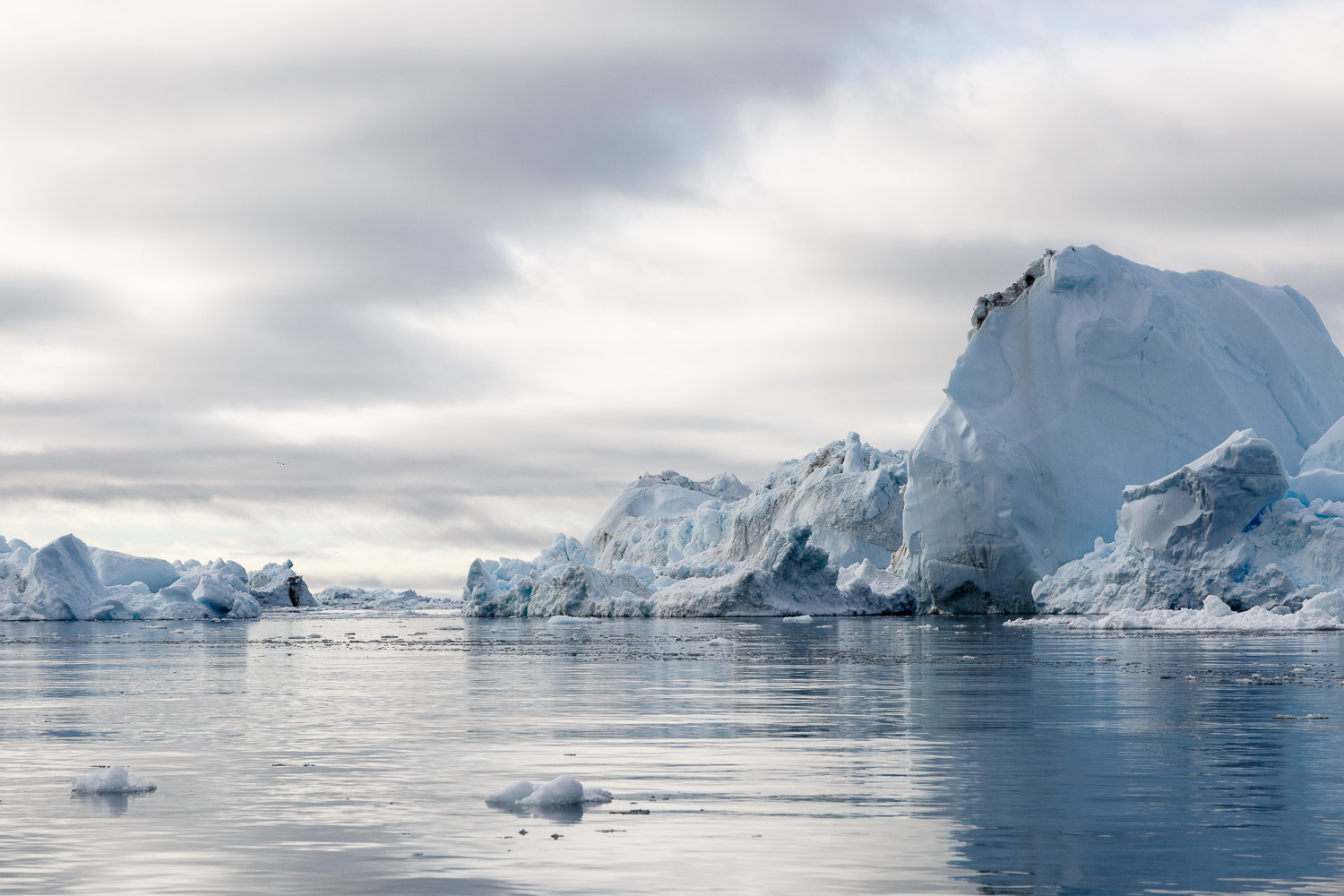 Icebergs in Davis Strait