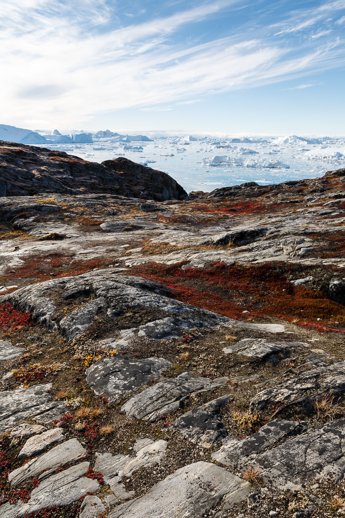 Ice, Rocks and Tundra