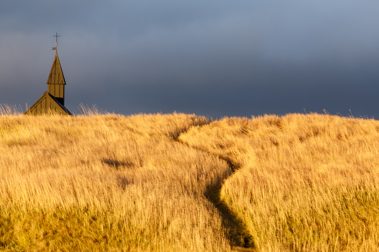 Golden Field near the Black Church