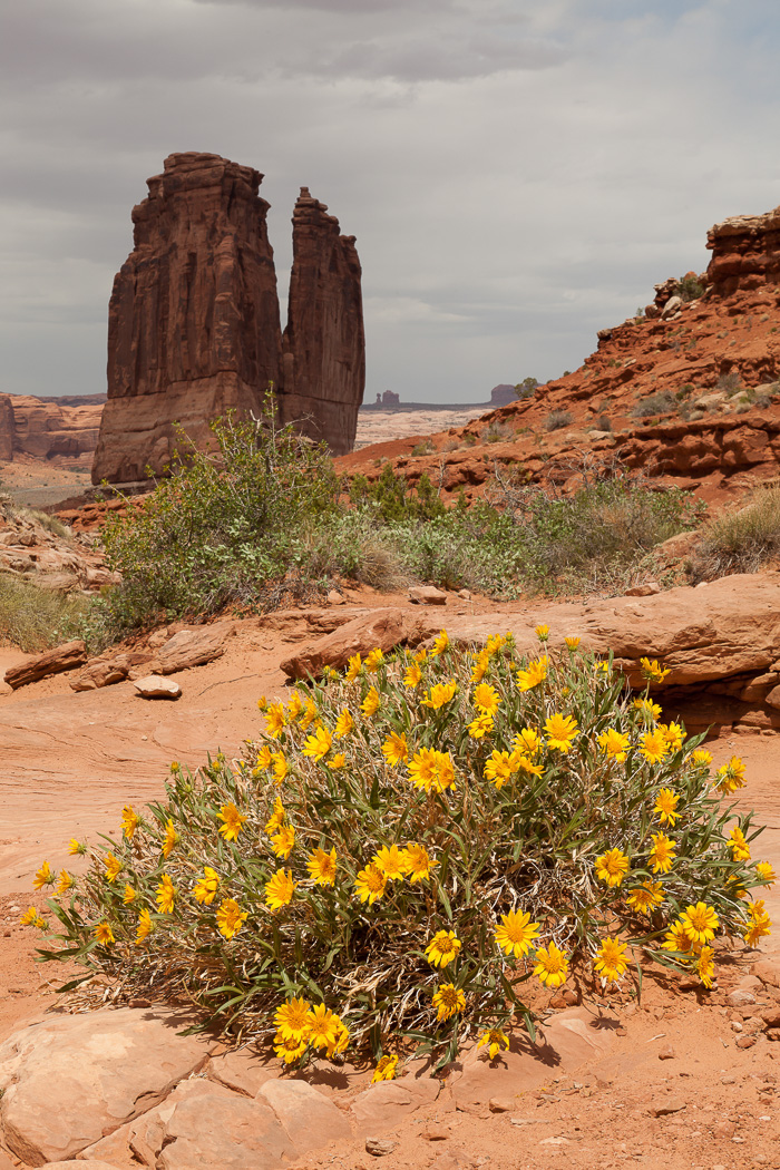 Monument Valley