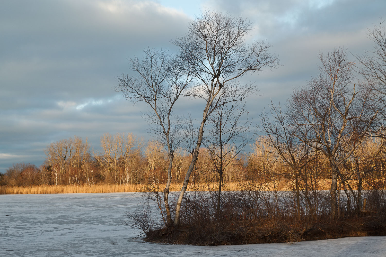 Lake Chipican in Winter