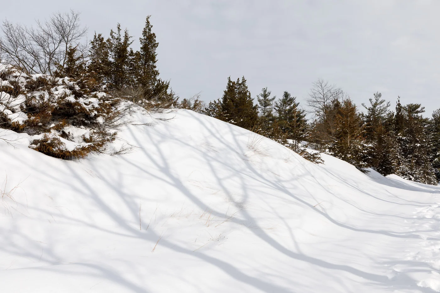 Shadows in the snow