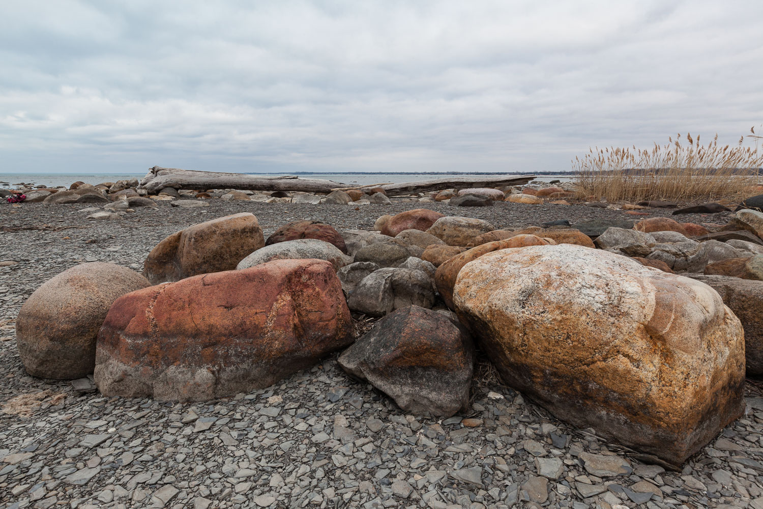 Rocks and Log at Kettle Point