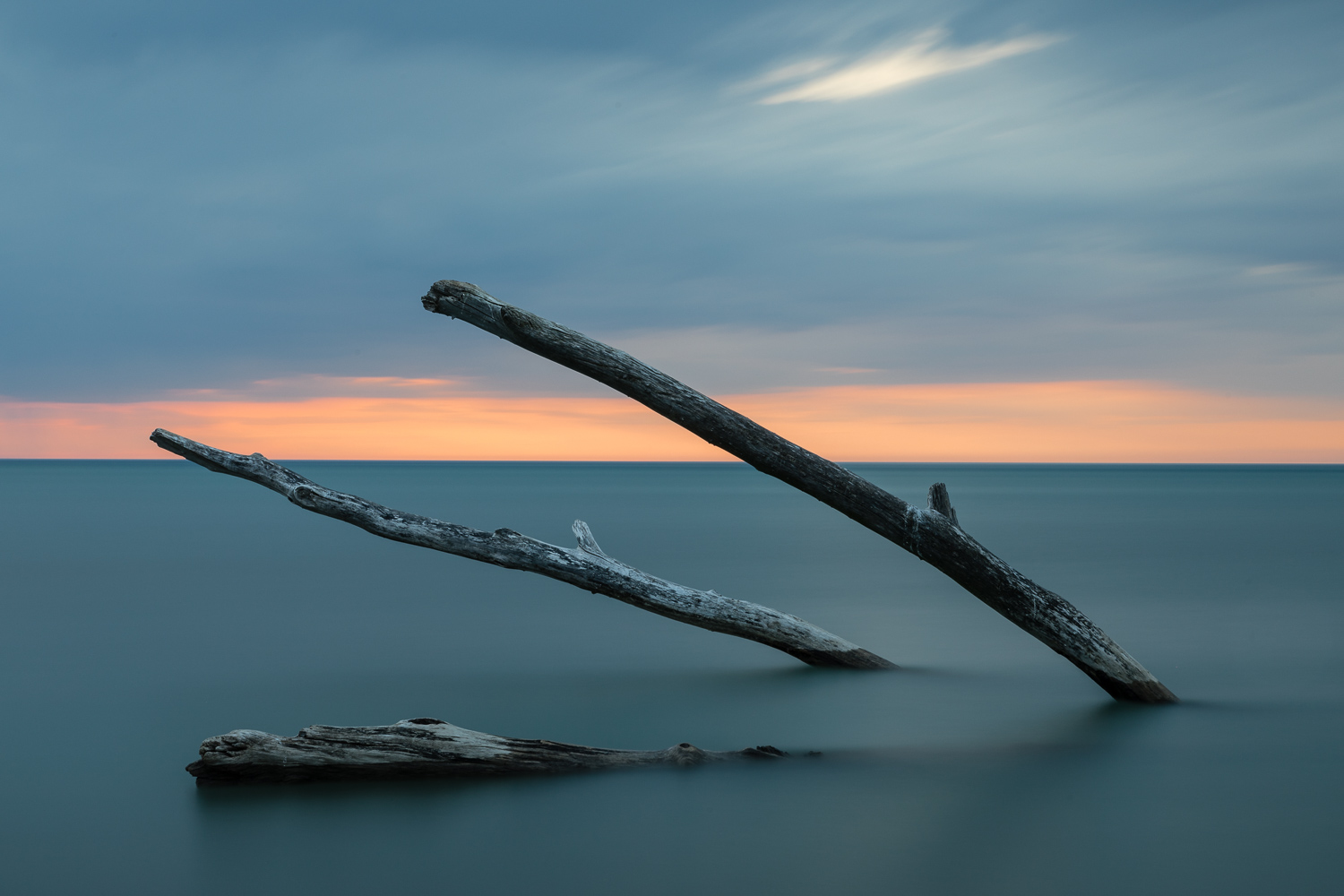 Logs in the Lake