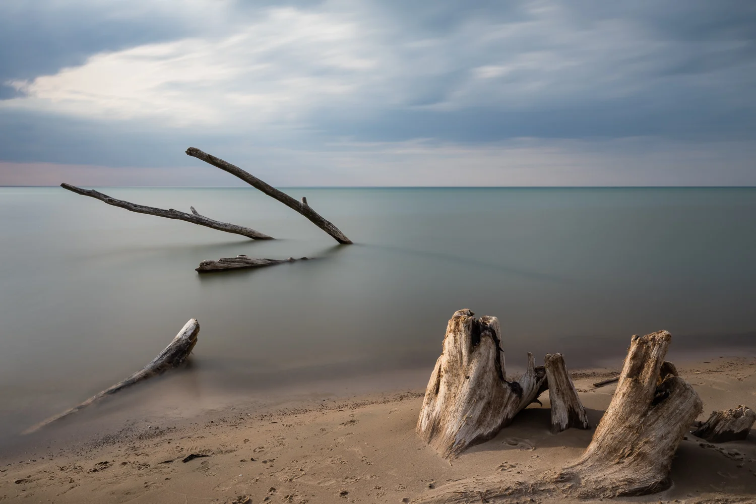 20180505-_F8A7445-Edit.jpg