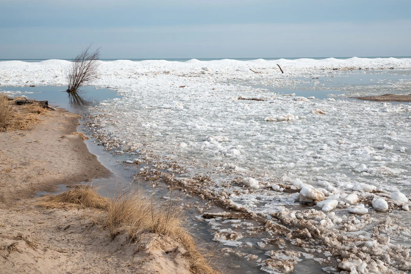 20190324-_D6A5751-Edit.jpg