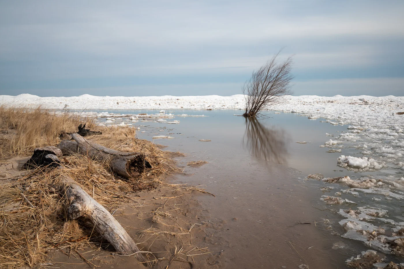 20190324-_D6A5753-Edit.jpg
