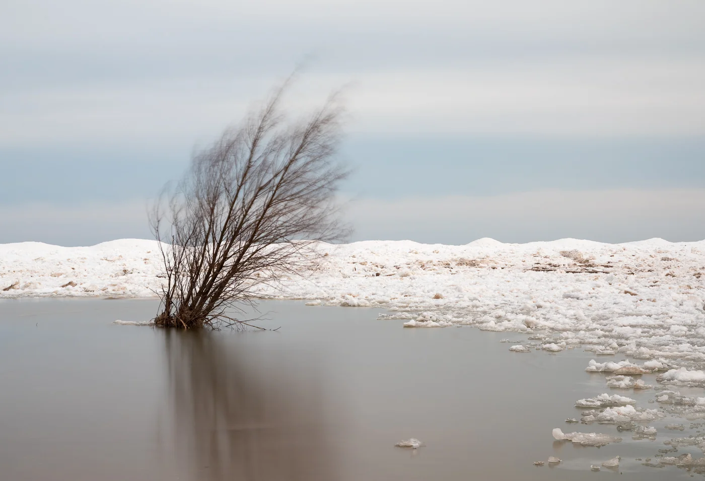 20190324-_D6A5777-Edit.jpg