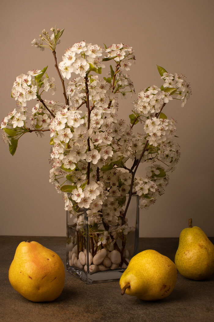Pears and Blossoms