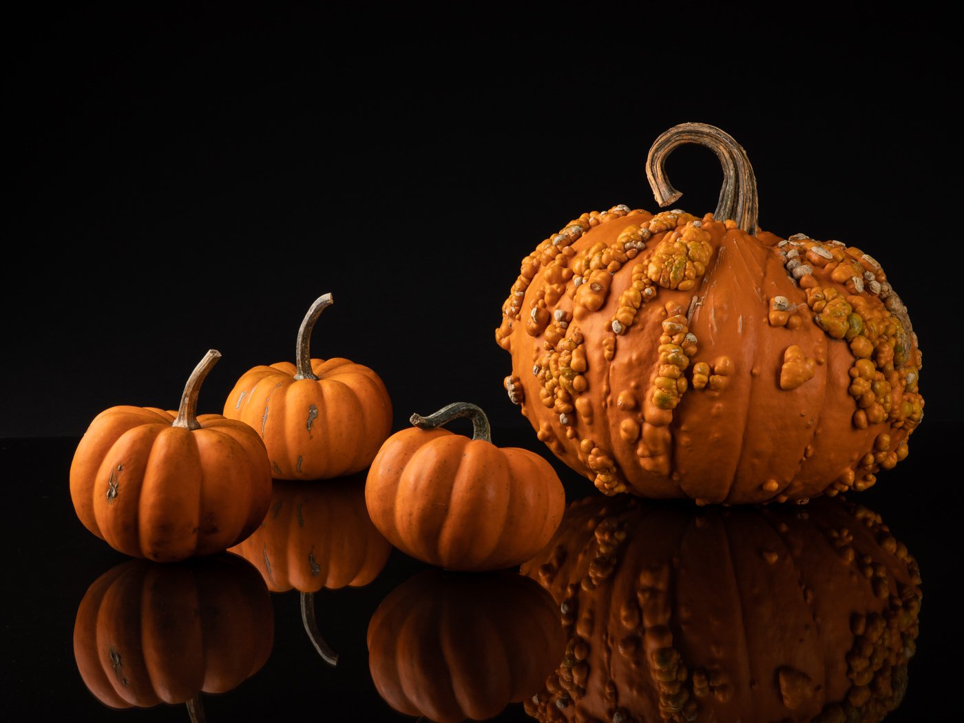 Pumpkins on Smoked Glass