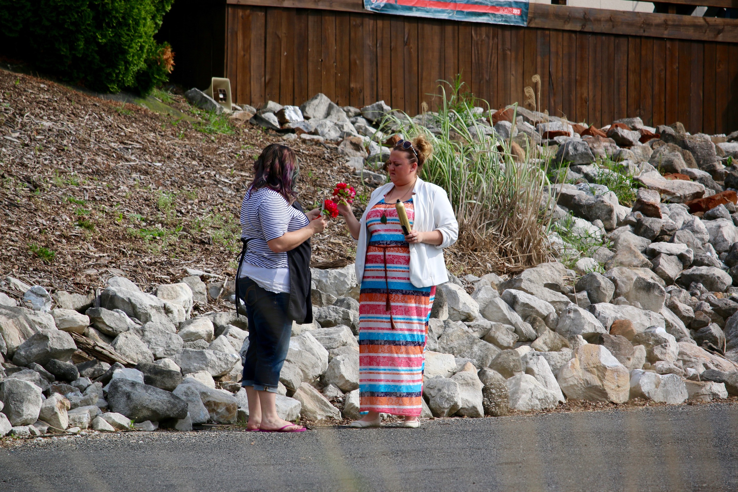 We did not "borrow" any flowers from Lake Springfield Marina...
