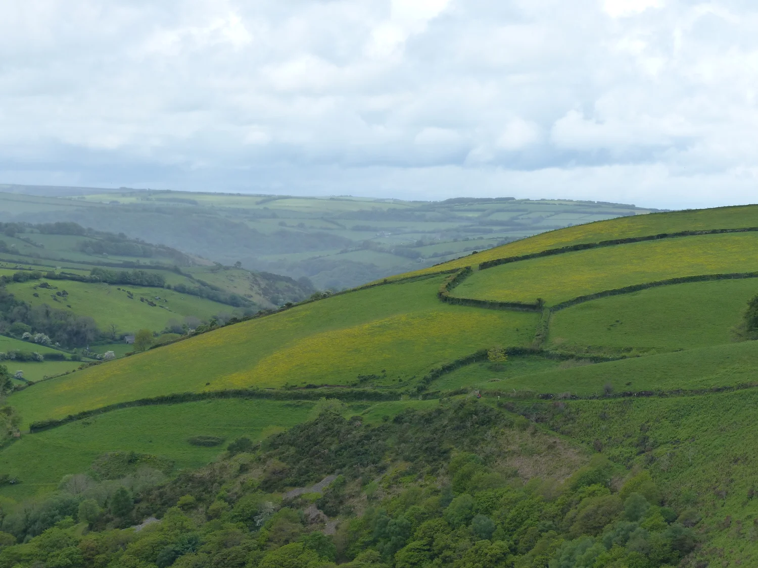 Landscape in Exmoor, England