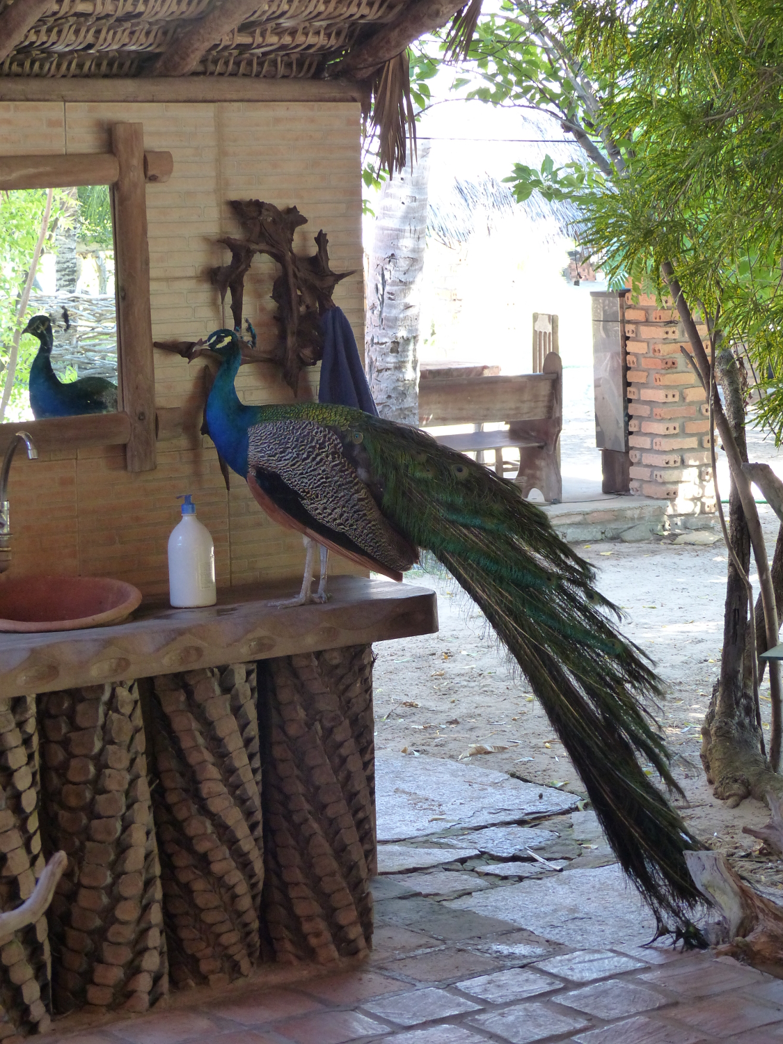 One of his favorite spots. Pousada in Atins, near Lençóis Maranhenses, Brazil.