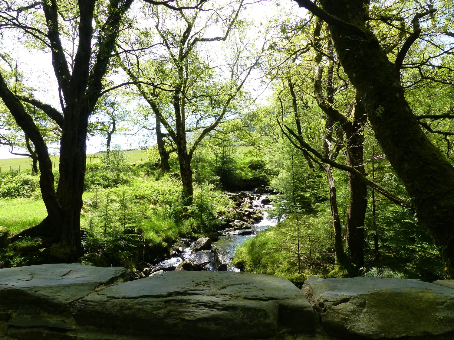 Snowdonia National Park, Wales