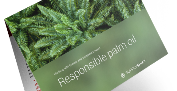 Case Study: Earthworm Foundation