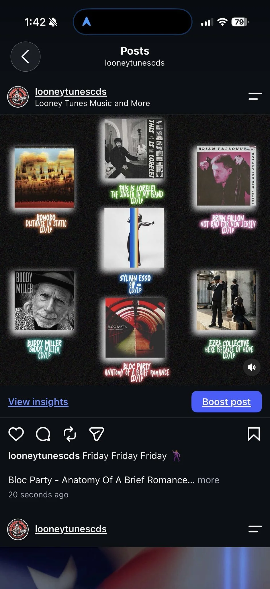 Looney Tunes IG Grid 9/11