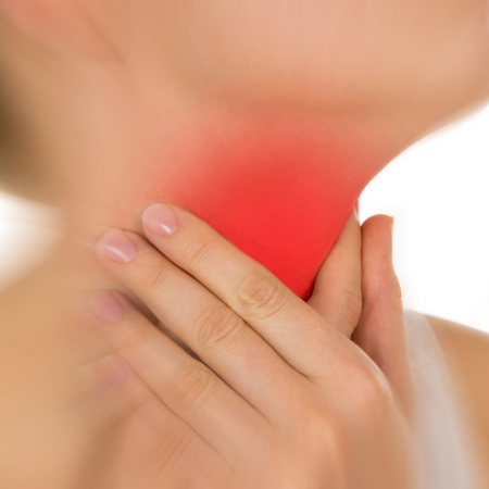 THE BODY'S ENERGY REGULATOR