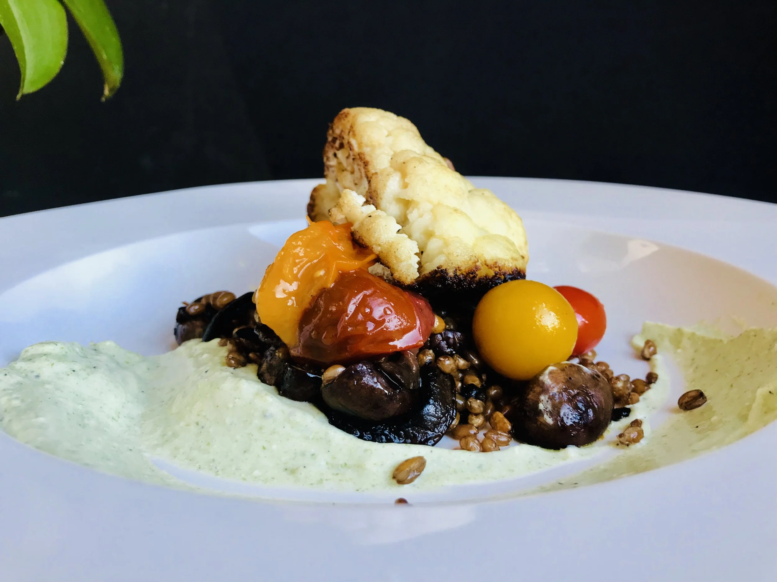 vegetarian cauliflower “chop”, mushrooms and wheat berries, lovage greek yogurt, preserved cherry tomatoes
