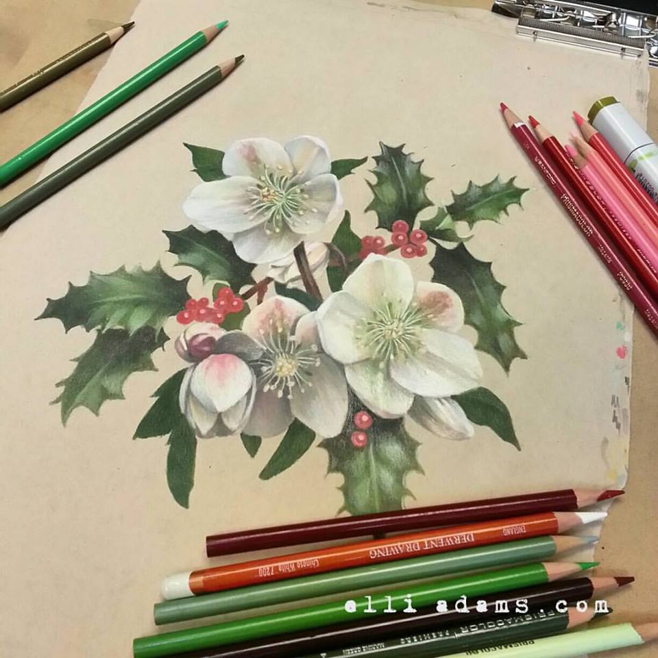Christmas Rose and Holly