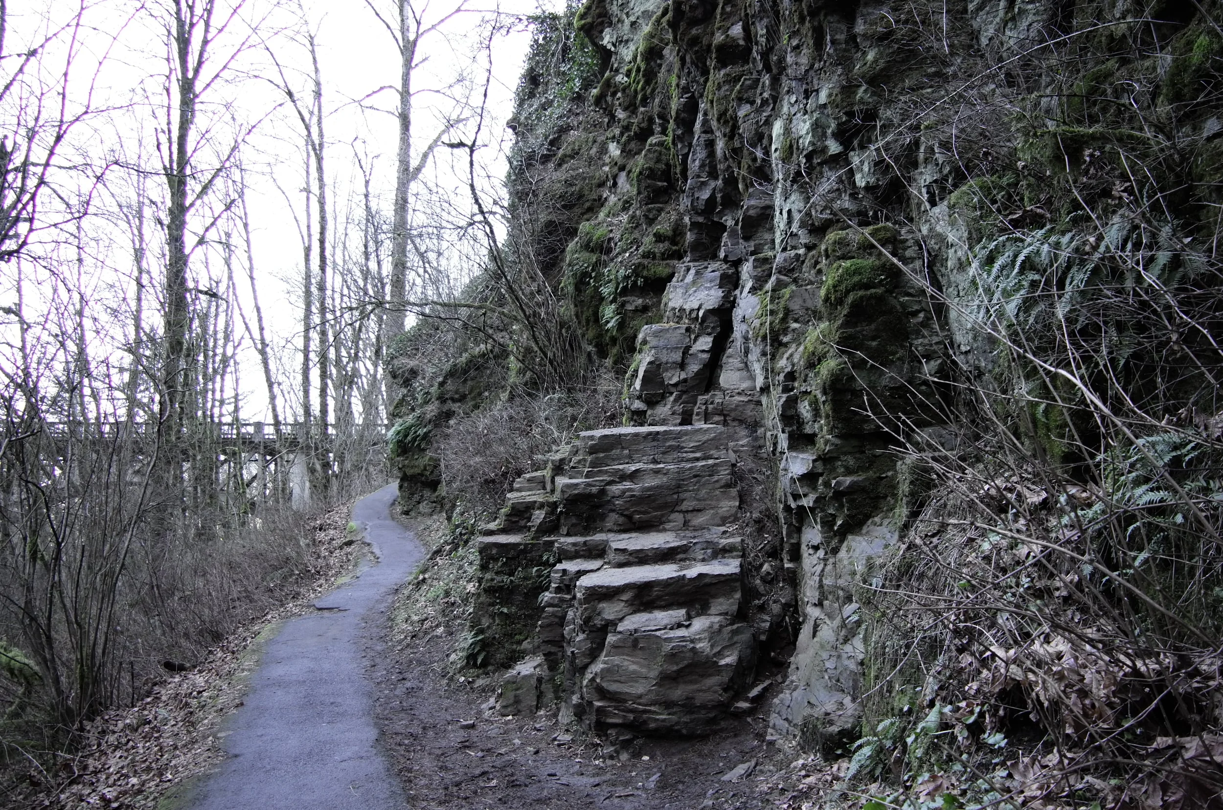 Elowah Falls | Oregon