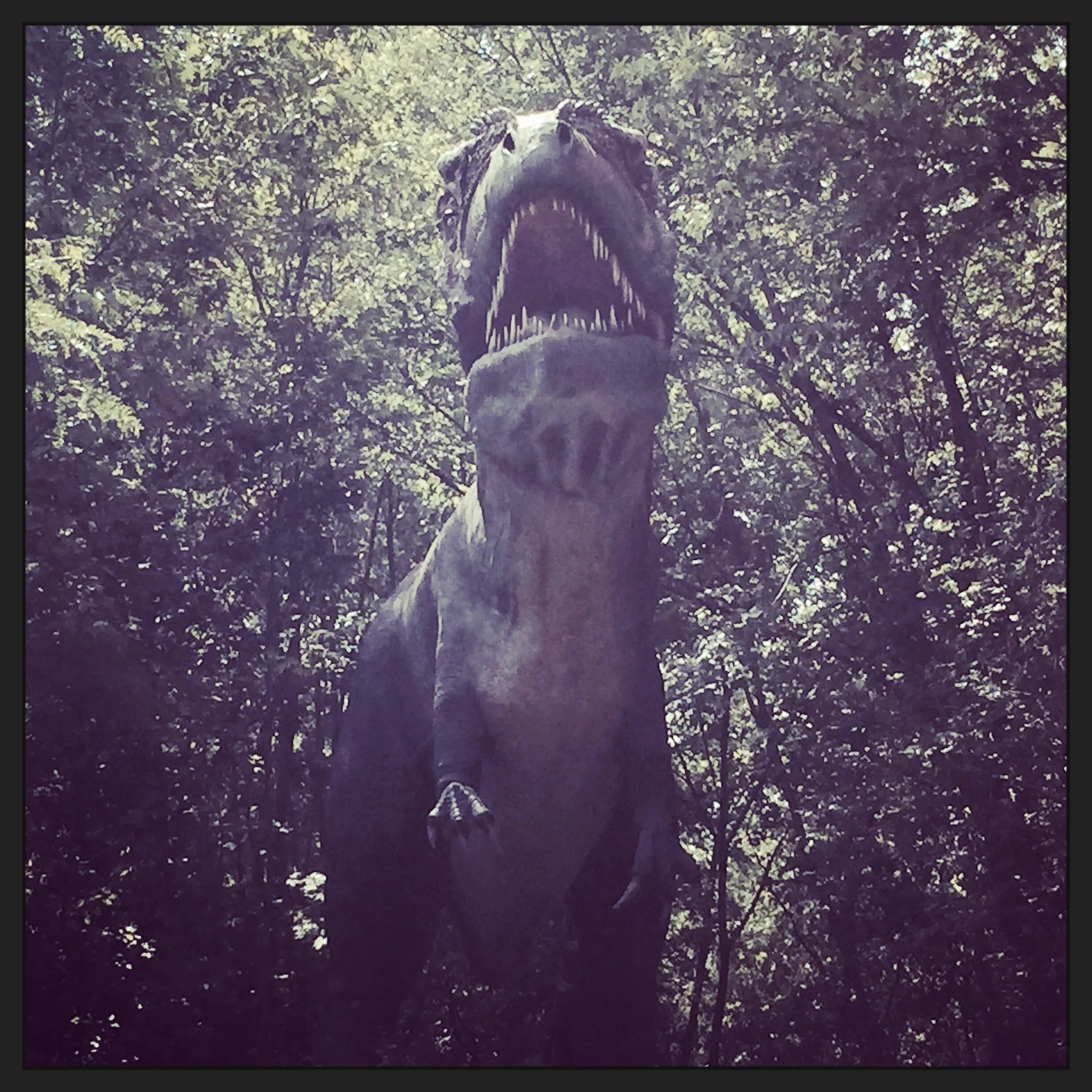 rawr