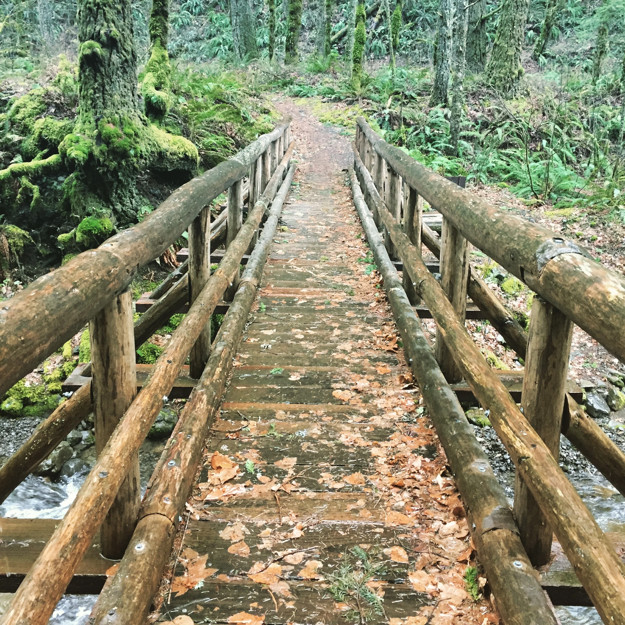 bridges