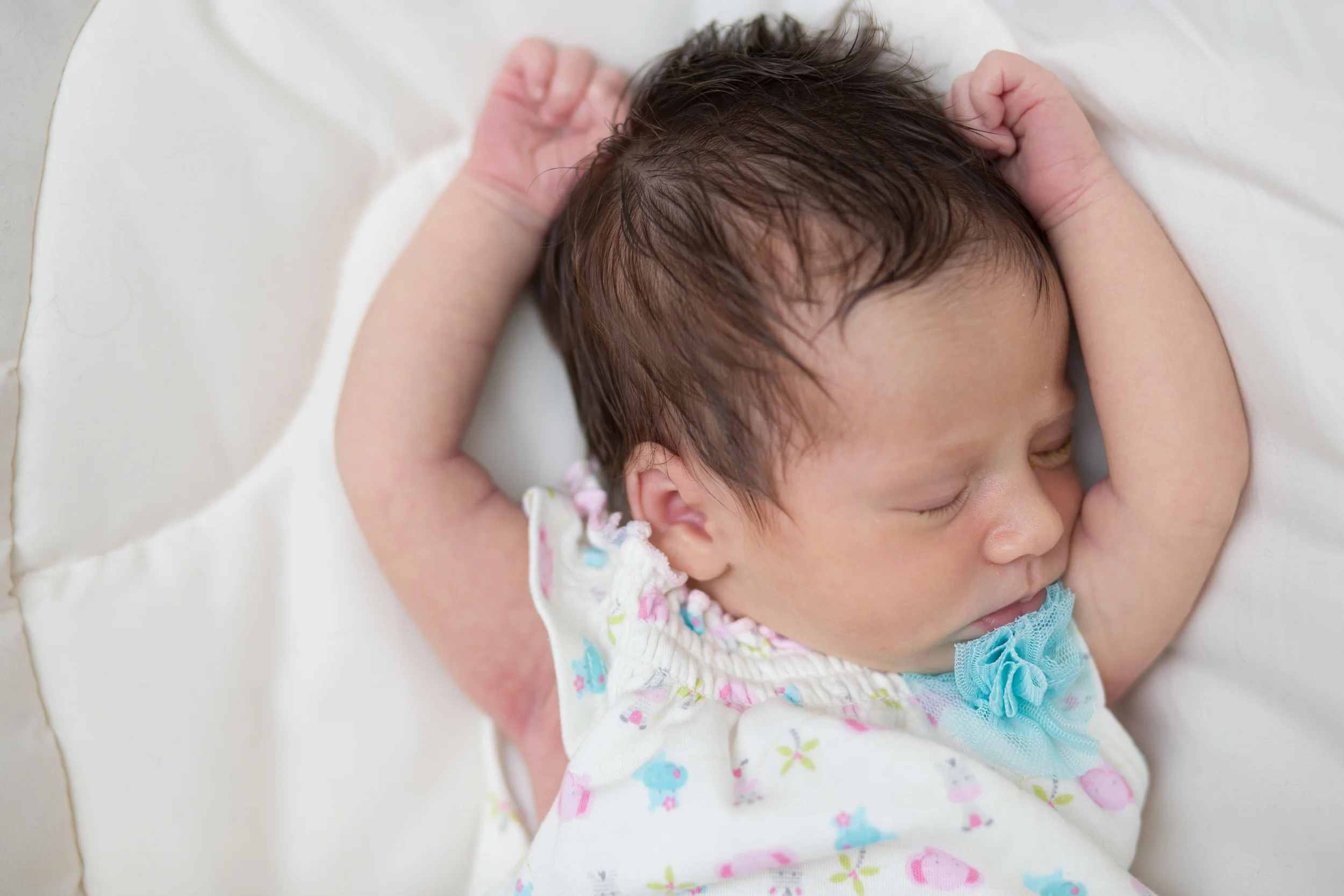Evelyn 08-201319.jpg