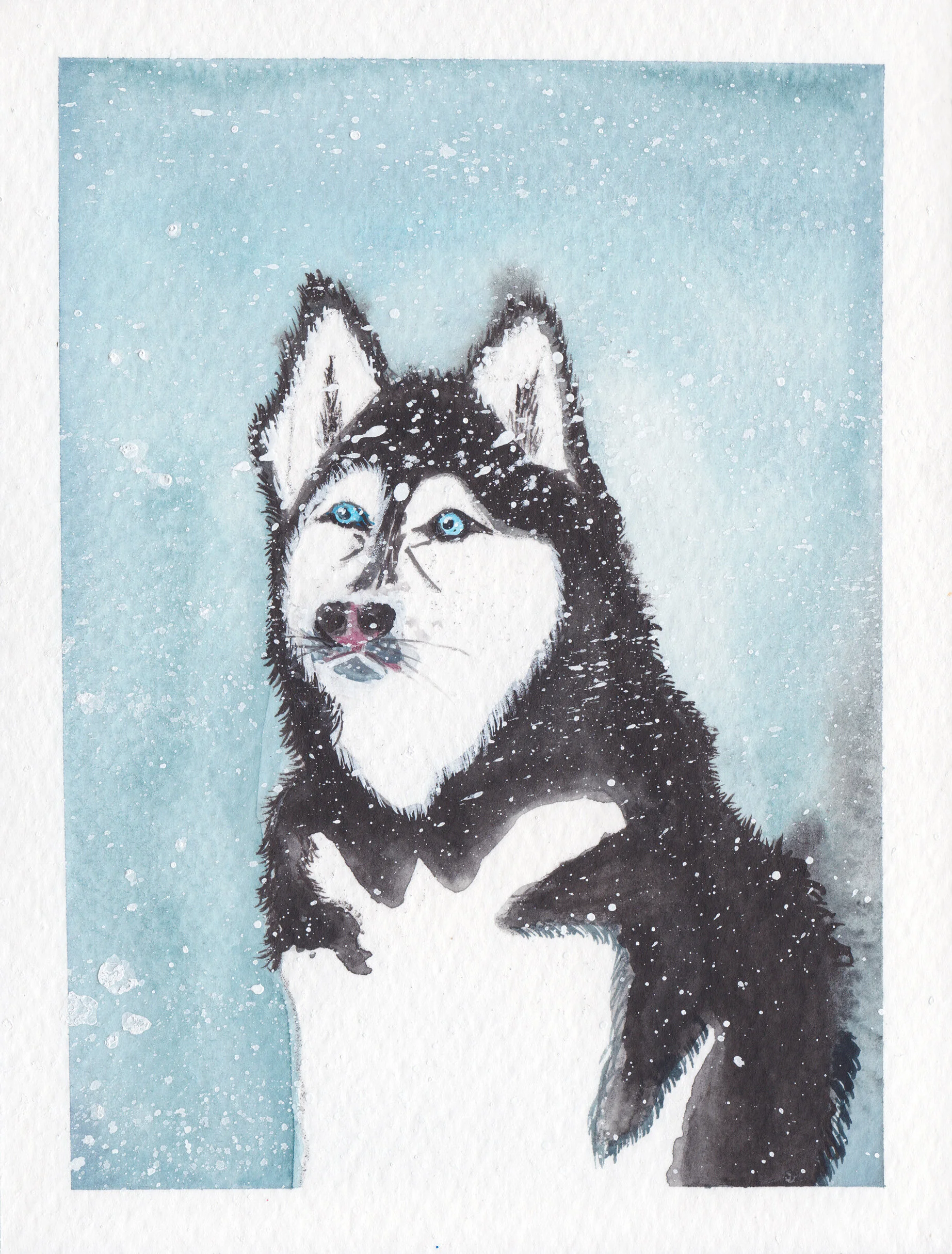 grizzly in snow v2.jpg