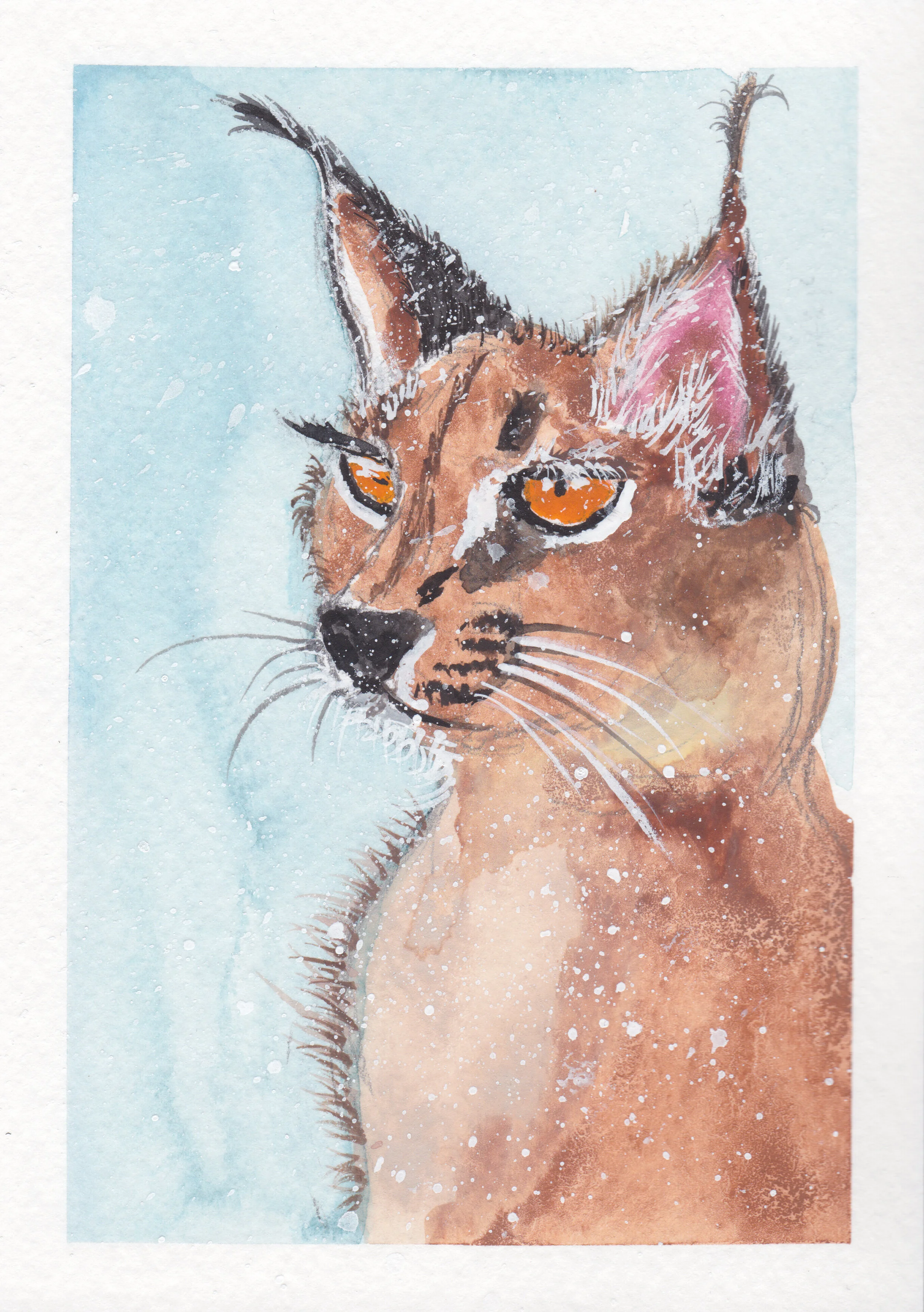 linx in snow.jpg