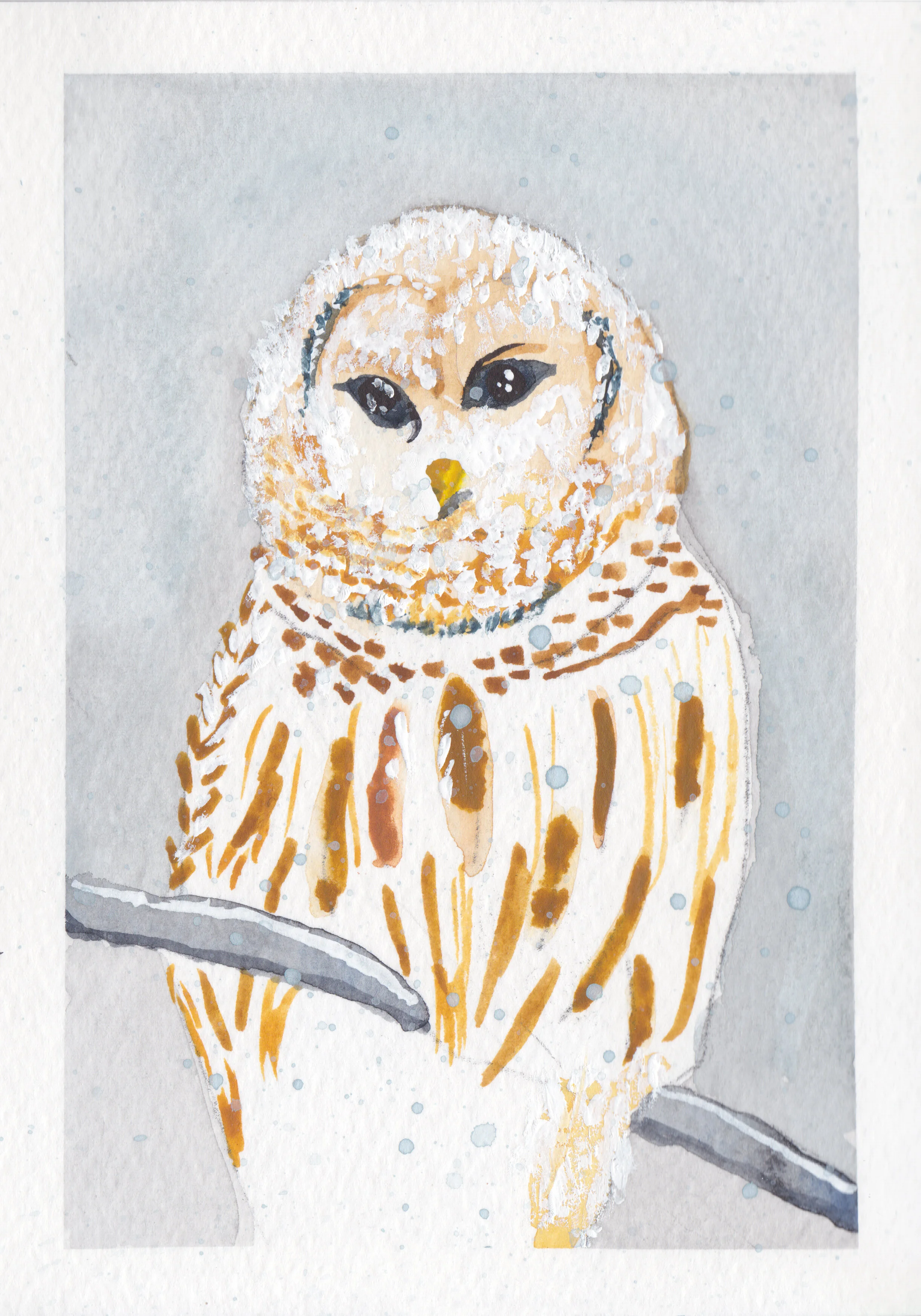 snow on owl.jpg