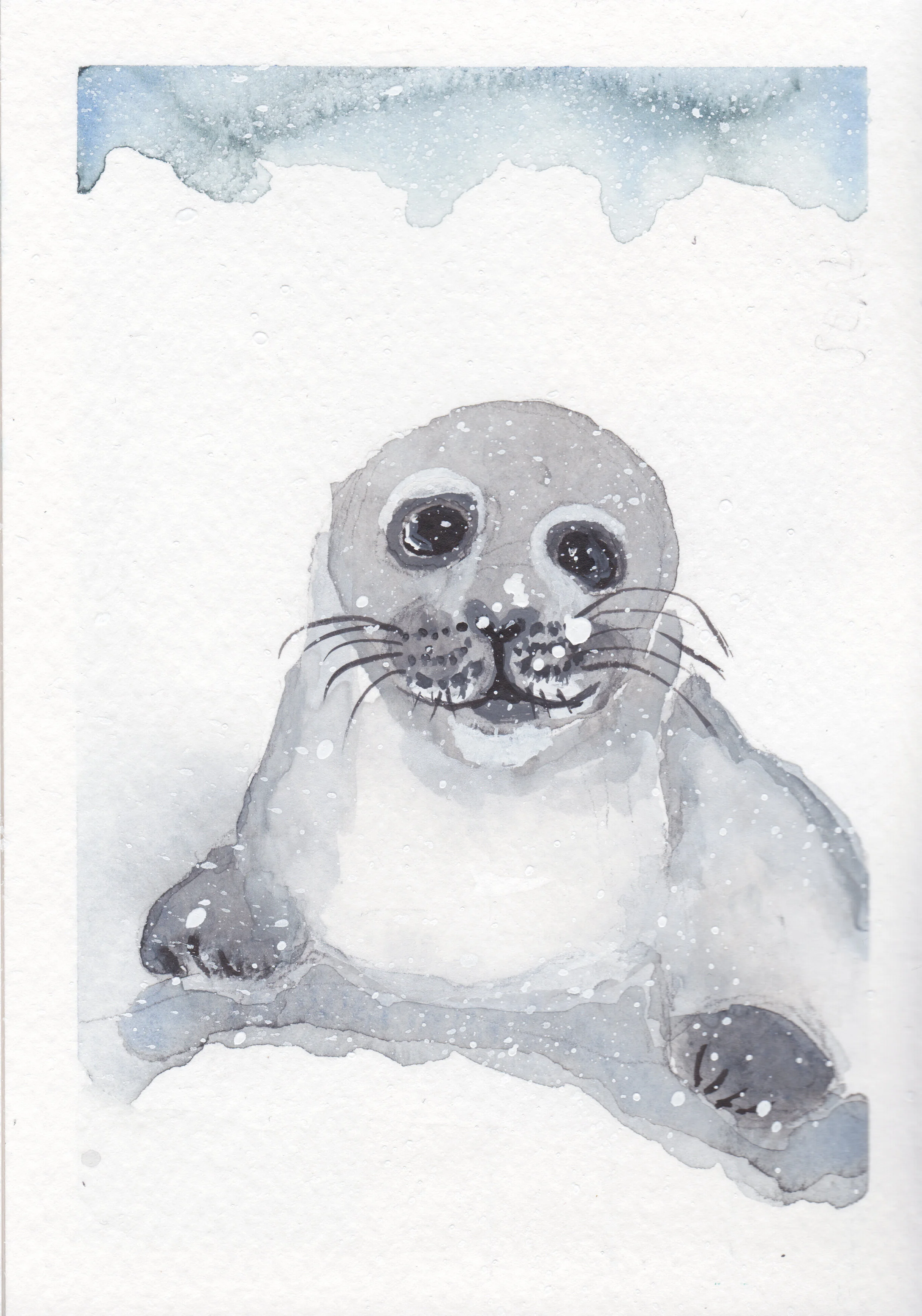 seal in snow.jpg