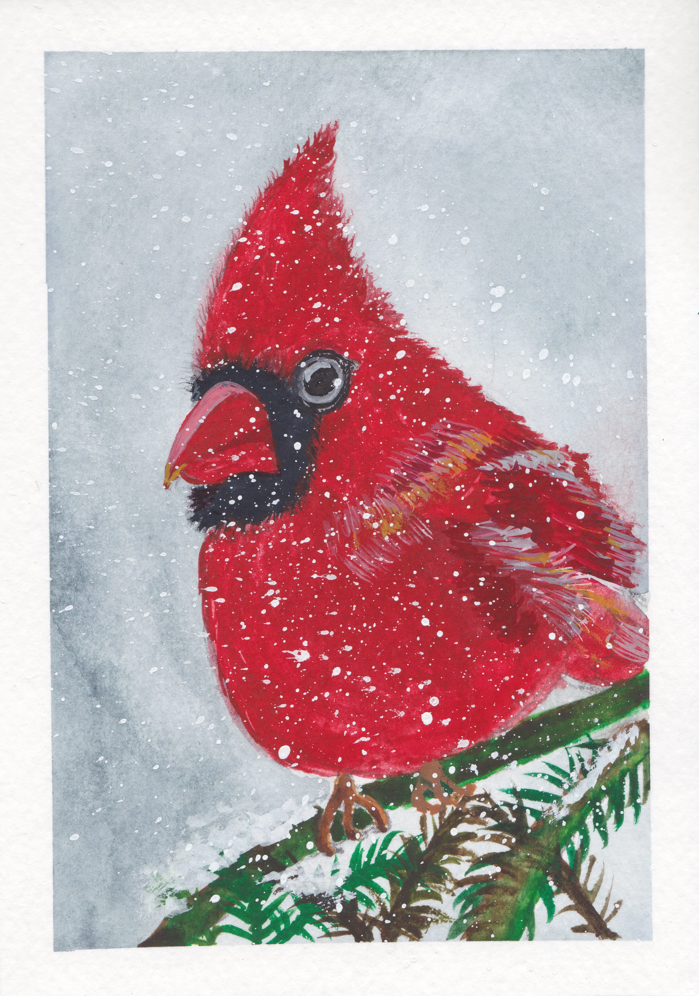 snow cardinal.jpg