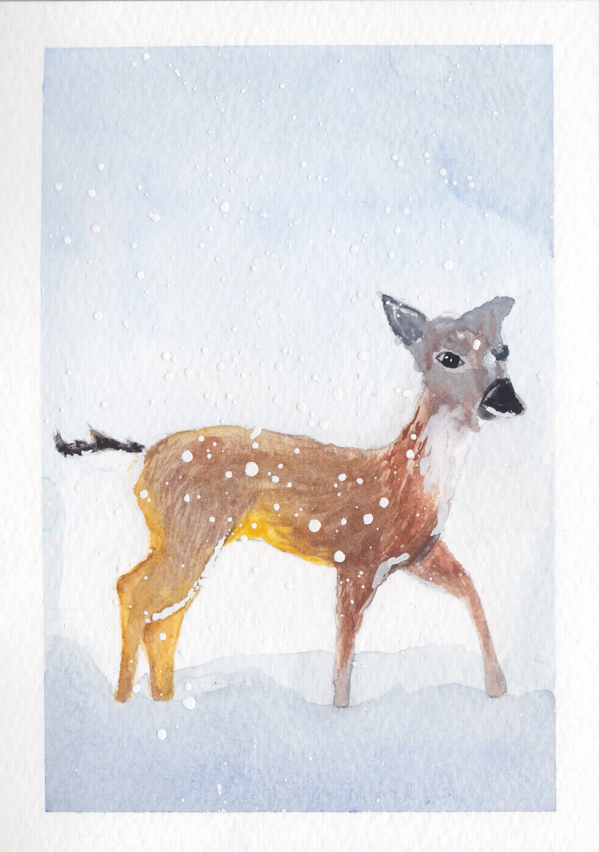 deer in snow.jpg