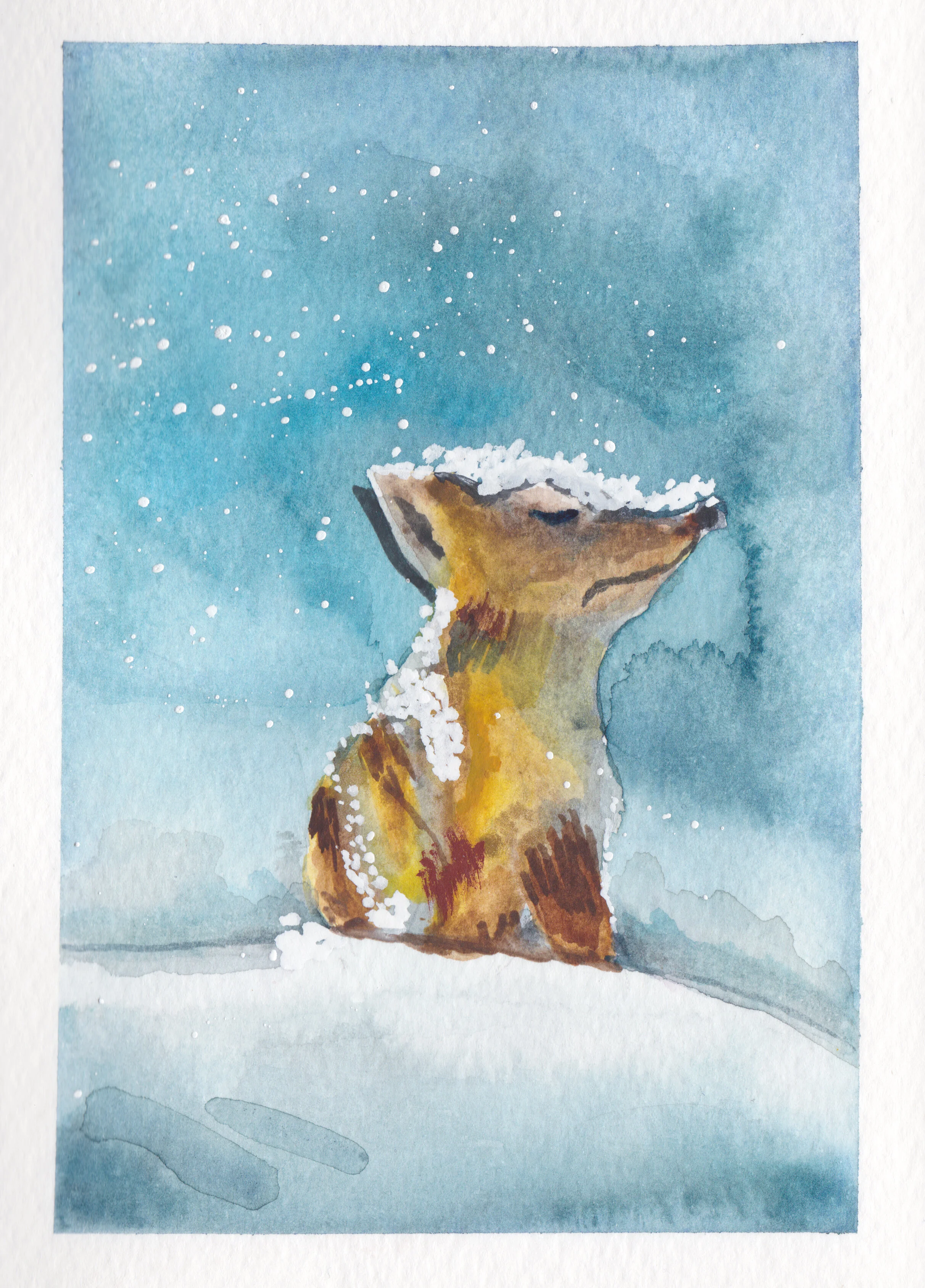 Fox in snow.jpg