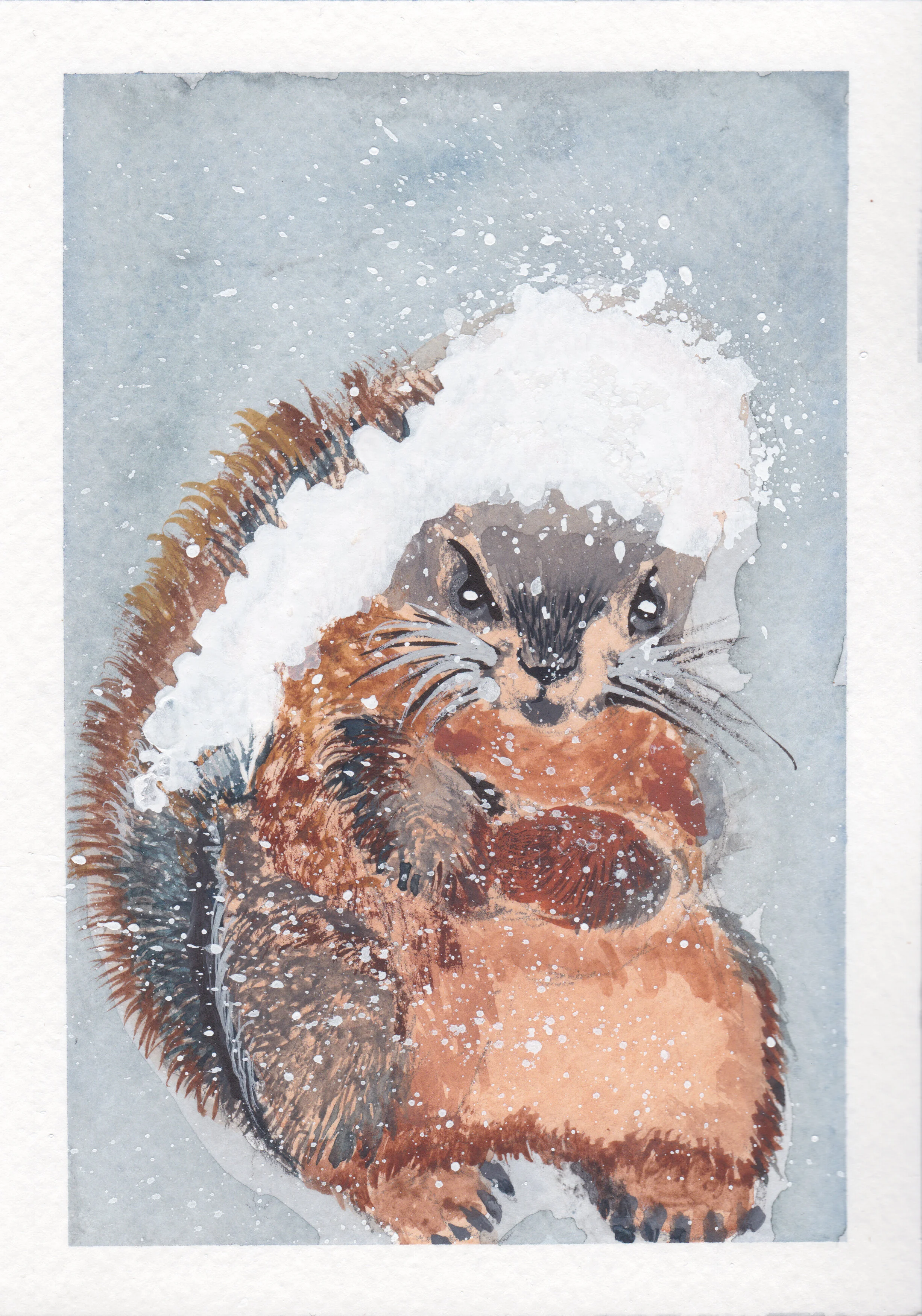 beaver in snow.jpg